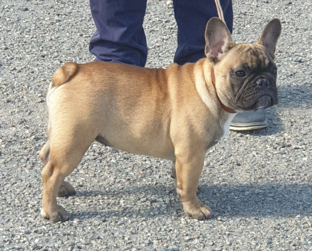 Urka du Domaine d'urkantys