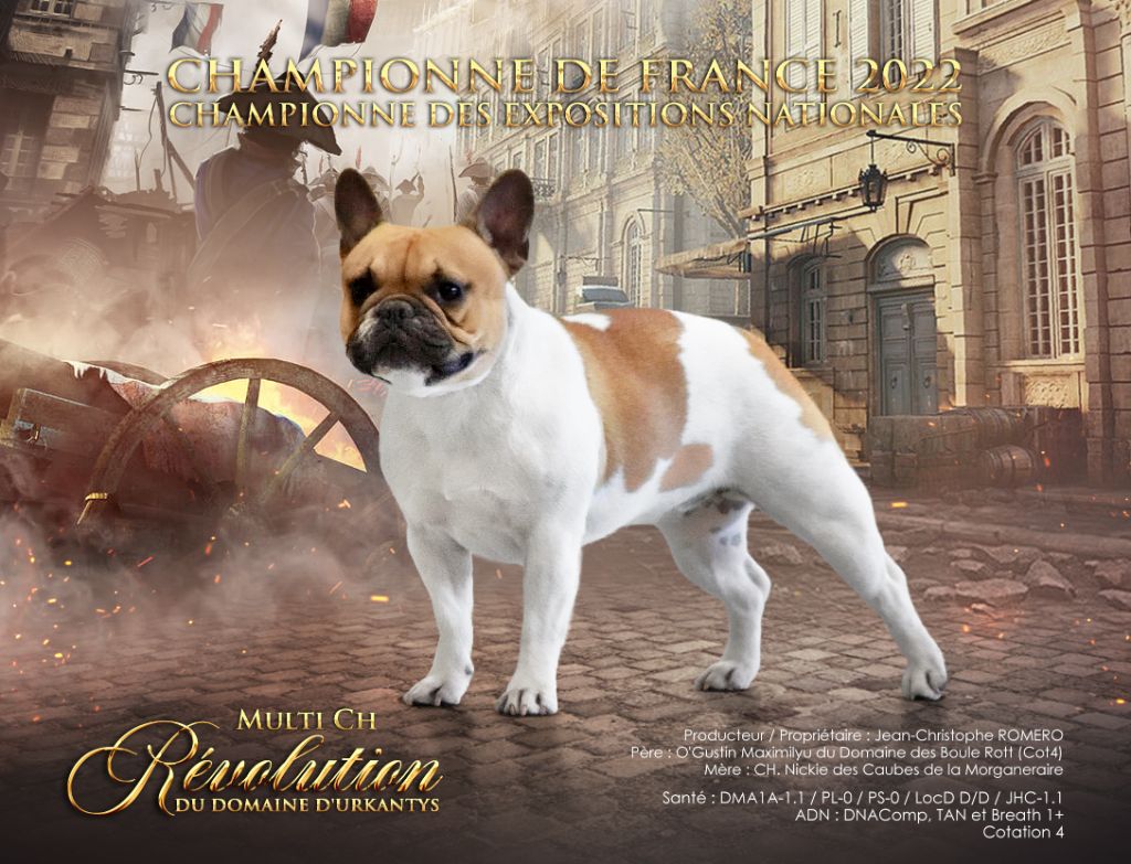 CH. Revolution du Domaine d'urkantys